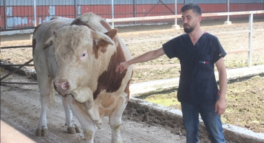 İkinci el otomobil fiyatına alıcısını bekliyor