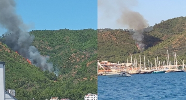 Marmaris'te orman yangını