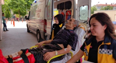Okulun bahçesindeki ıhlamur ağacından düştü