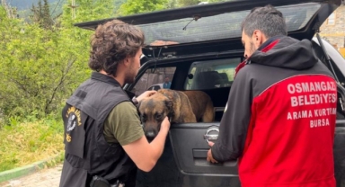 Uludağ’da kaybolmuştu... 12 gündür aranıyor
