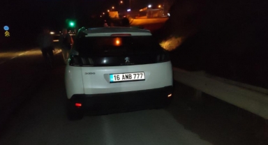 Yola fırlayan domuz sürüsü kazaya sebep oldu