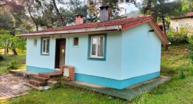 BTÜ’lü öğrenciler ilkokul öğrencilerinin yüzünü güldürdü