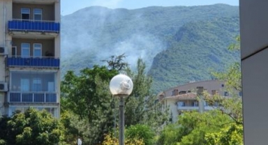 Bursa'da orman yangını