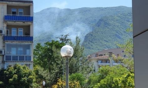 Bursa'da orman yangını