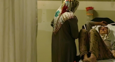 Çilek toplayan kadını yılan ısırdı