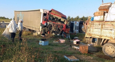 Edirne’de, arıcılara tır çarptı: 4 ölü, 1 yaralı