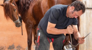 İş garantili nalbantlık kursu açılıyor