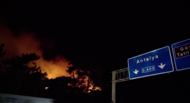 Kemer'de orman yangını