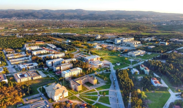 Öğrencilere tercih sürecinde akademik tavsiye