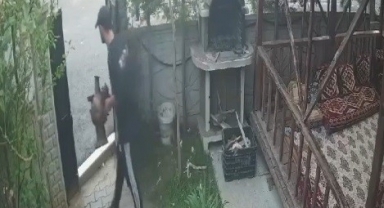 Semaver çalan hırsız kameralara yansıdı.