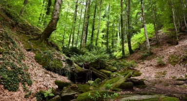 Suuçtu Şelalesi ziyaretçi akınına uğradı