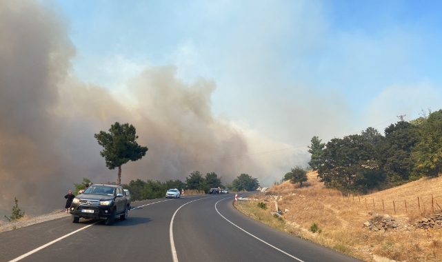 Çanakkale'de büyük orman yangını...2 köy boşaltıldı