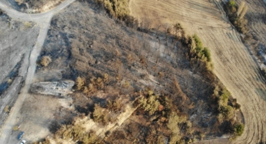 Çanakkale’de yangının 3. günü