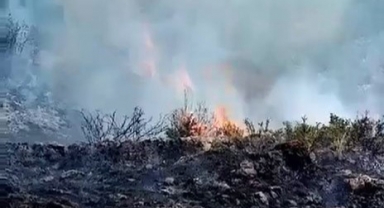 İznik'te makilik alanda çıkan yangın söndürüldü