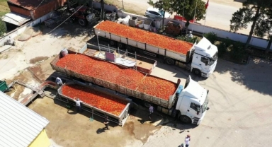 Kadınların ürettiği salça Hollanda yolunda