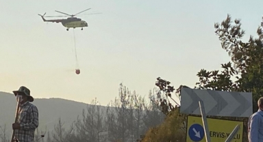 Karacabey'de orman yangını