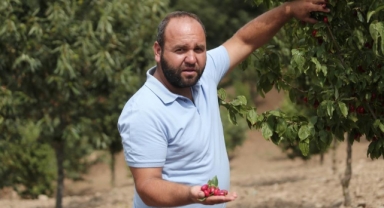 Kızılcıkta hasat zamanı