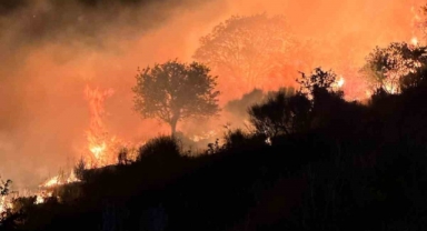 Marmara Adası’nda yangın