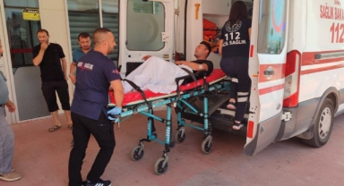 Muhtar, arazisine giren koyunların sahibini vurdu