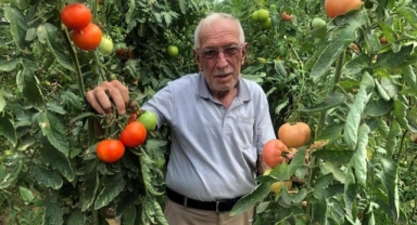 Seracılık üreticinin yüzünü güldürüyor