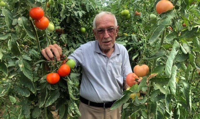 Seracılık üreticinin yüzünü güldürüyor