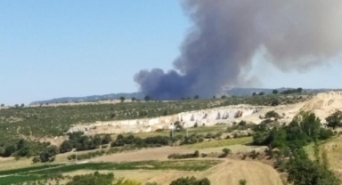 Yenişehir'de orman yangını