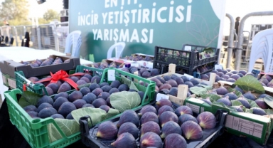 Akçalar-Fadıllı İncir Festivali üretici ile tüketiciyi buluşturdu