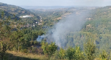 Bahçesindeki otları temizlemek istedi hayatını kaybetti