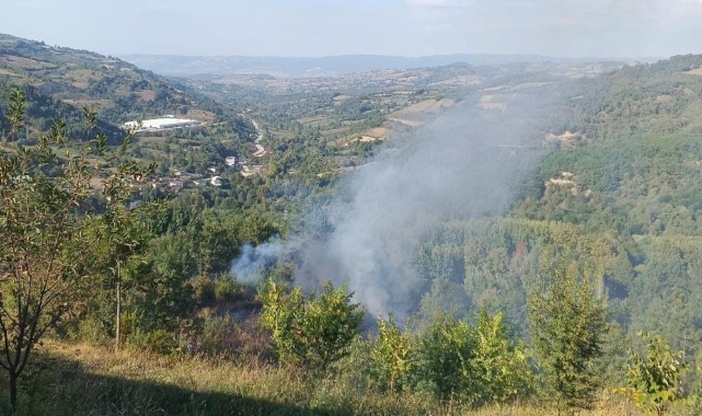 Bahçesindeki otları temizlemek istedi hayatını kaybetti
