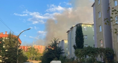 Bursa'da orman yangını