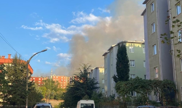 Bursa'da orman yangını