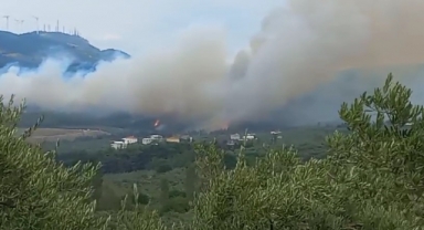 Bursa’da orman yangını