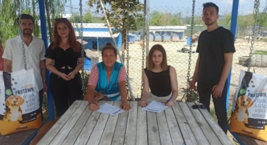 Bursalı firmadan sokak hayvanları için anlamlı destek