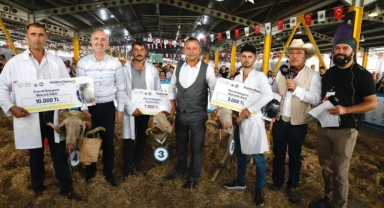 İnegöl'de küçükbaş hayvancılık festivali başlıyor