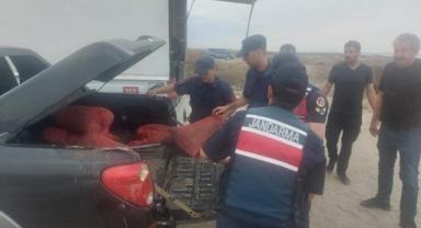 Kaçak avlanılan 5 bin 500 kilo kum şırlanı denize bırakıldı