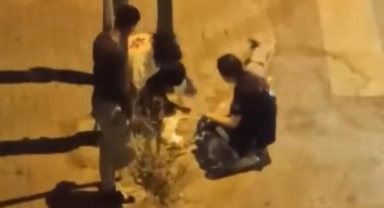 Otomobil çarpan kediye hemşireler kalp masajı yaptı
