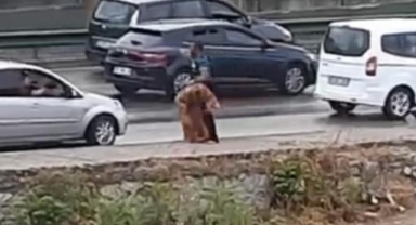 Tartıştığı kadını kemerle darp etti