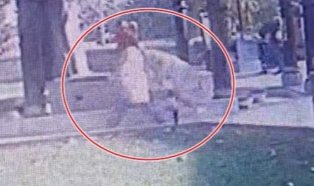 Abdest alan adamın cüzdanını çaldılar