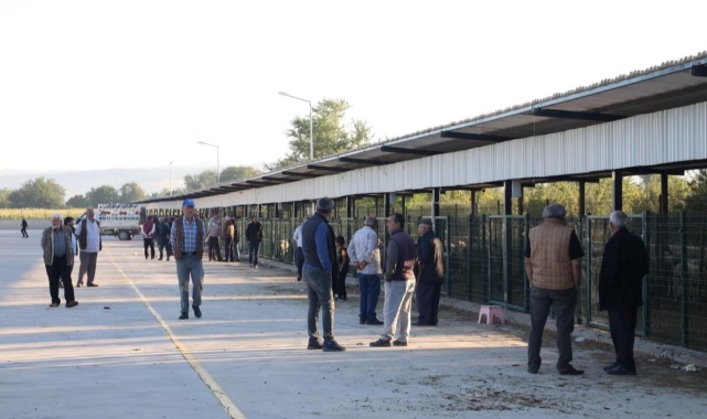 İnegöl hayvan pazarı şap riskine karşı kapatıldı