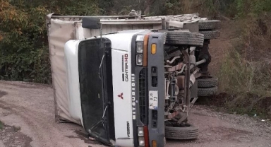Kereste yüklü kamyon devrildi