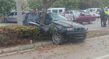 Kontrolden çıkan otomobil refüjdeki ağaca çarptı