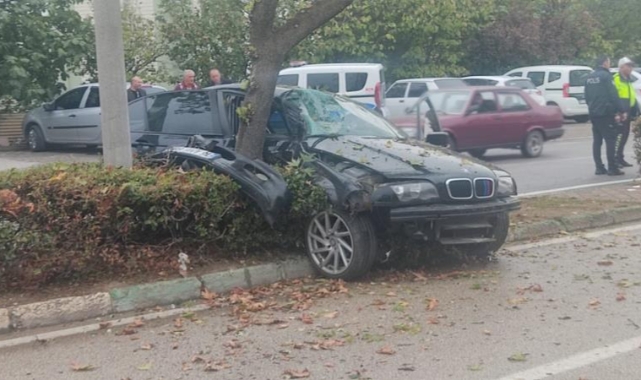 Kontrolden çıkan otomobil refüjdeki ağaca çarptı