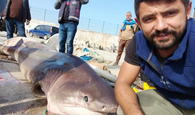 Marmaradan canavar çıktı