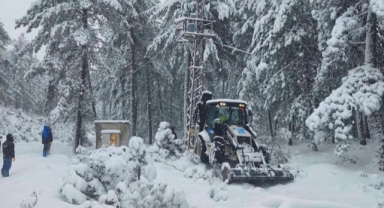Ağac elektrik direğinin üzerine devrildi kesintiye yol açtı
