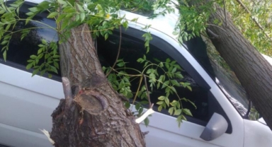 Bursa’da şiddetli rüzgar hayatı felç etti