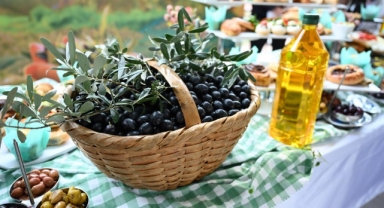 Bursa’nın zeytininde hasat vakti