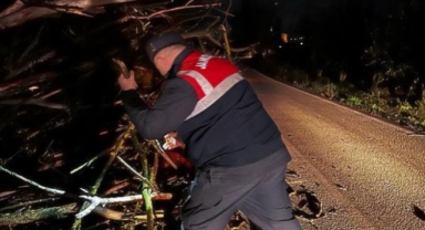 Jandarma etkili olan lodosta vatandaşlara yardım etti