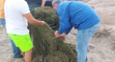 Kaçak avlanan 1 ton kum şırlanı denize bırakıldı