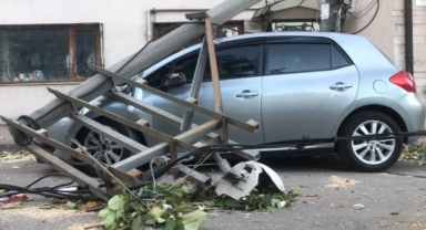 Lodos ağaç ve elektrik direğini devirdi