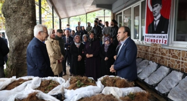 Nilüfer Belediyesi’nin desteğiyle çilek üretimi artıyor